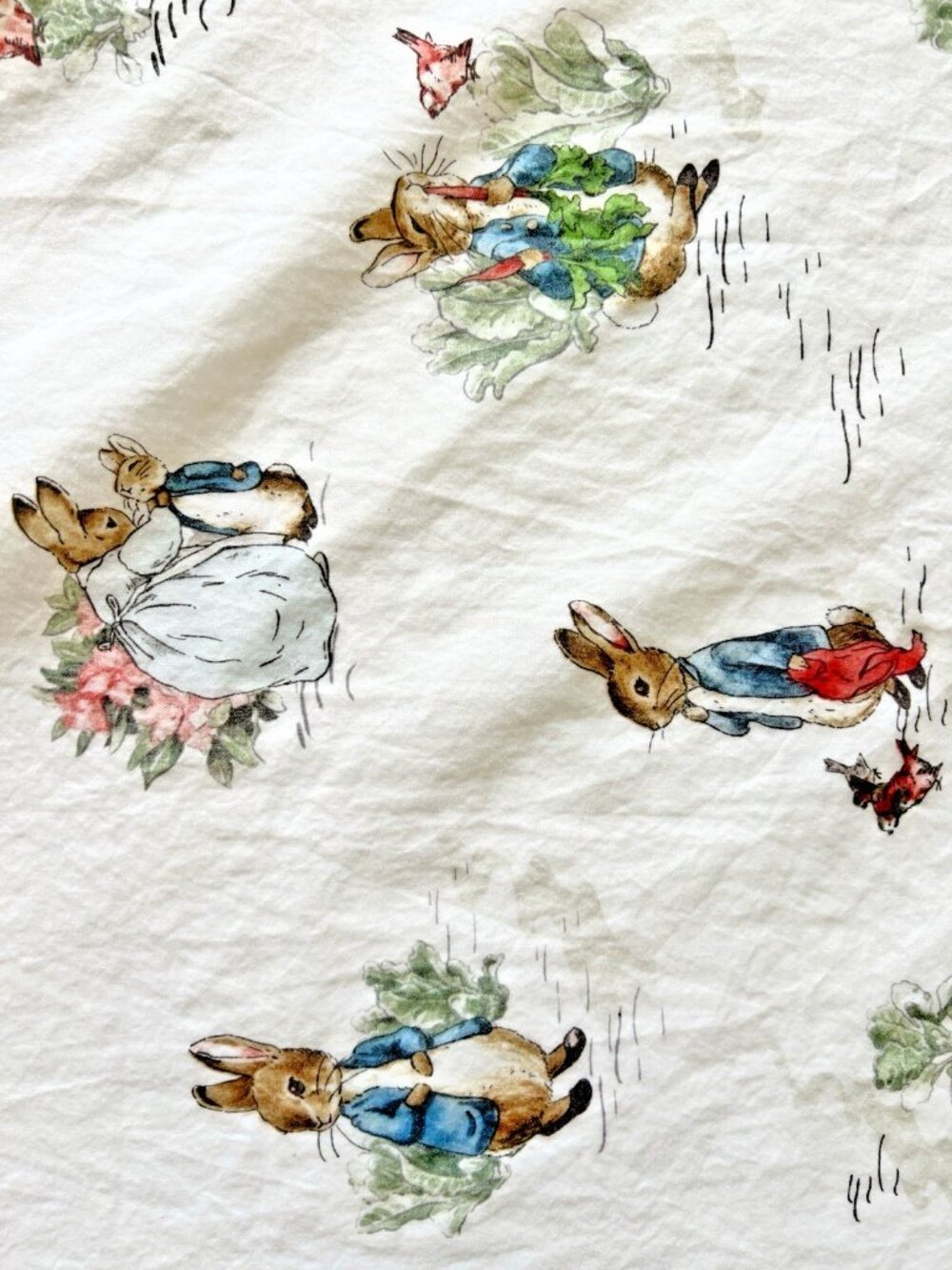 POTTERY BARN KIDS Peter Rabbit TWIN Flat BEATRIX POTTER !00% Organic Cotton - Picture 3 of 11